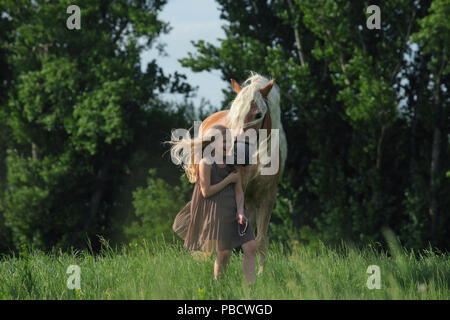 Michurinsk, Russia, 24 Maggio 2018: bambino e bambina tirolese cavallo Haflinger in prove ufficiali del Michurin Fiera Agricola Foto Stock