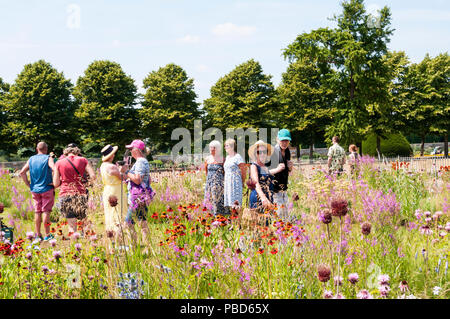 Visitatori godendo la piantagione di Piet Oudolf della RHS Hampton Court Palace Flower Show 2018. Foto Stock