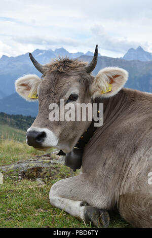 Una mucca nelle Alpi svizzere e con una bella vista della montagna in background Foto Stock