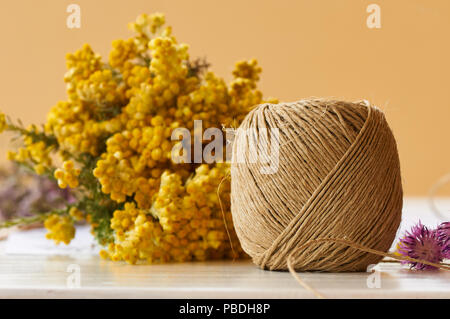 Matassa di cavo e comune arbustiva perenne (Elicriso stoechas) fiori gialli su una tavola pronta per la preparazione di un bouquet di fiori (Formentera,Spagna) Foto Stock