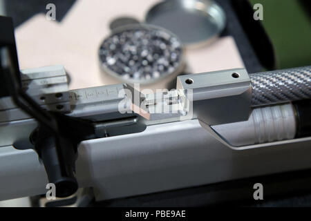 Bomboletta di alluminio di pellet di piombo per fucile ad aria compressa e fucile ad aria compressa Foto Stock