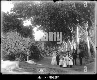 . Inglese: un piccolo gruppo di persone su Poplar Avenue, Aranguez, Sonora, Messico, ca.1905 fotografia di un gruppo di dieci persone (due uomini, tre donne e cinque bambini) in piedi la sterrata Poplar Avenue, Aranguez, Sonora, Messico, ca.1905. Una lunga fila di alberi di pioppo linee la strada sulla sua destra. Sulla sinistra della strada sono più piccoli alberi o arbusti. Gli edifici non sono visibili ma all'estrema sinistra vi è la prova di una struttura. Chiamare il numero: CHS-1526 Filename: CHS-1526 La copertura data: circa 1905 parte della collezione: California Historical Society raccolta, 1860-1960 Formato: lastra di vetro negativi di tipo: Foto Stock