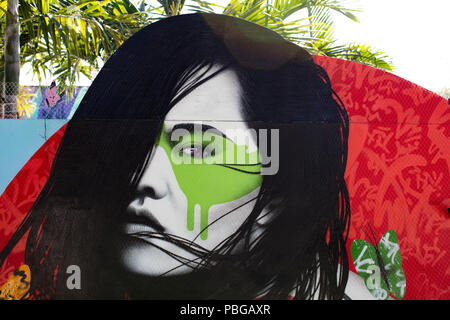 Arte e Graffiti in pareti Wynwood Miami Foto Stock