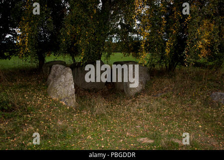 Anno 5500 vecchio grande megalitici dolmen vicino Lancken-Granitz nel sud-est di Ruegen isola nel mar Baltico nel nord-est della Germania. Foto Stock