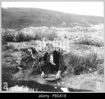 Il minatore panning gold 1916 Foto Stock