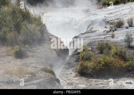 Il vapore proveniente da attività termica presso l'area geotermale Orakei Korako a Rotorua, Nuova Zelanda Foto Stock