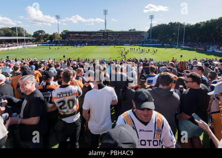 Round 16 del NRL stagione vide WestsTigers prendere sulla Gold Coast Titans a Sydney's Leichhardt ovale nella parte anteriore di un vicino alla capacità folla di tigri ventole Foto Stock