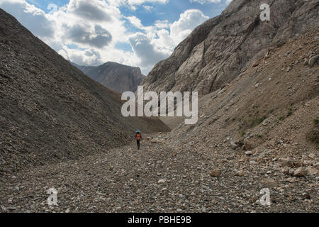 Trekker sulle altezze di epica di Alay percorso, Alay, Krygyzstan Foto Stock