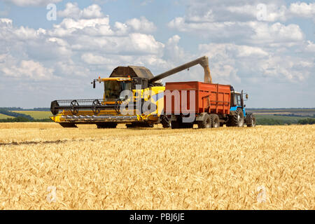 Mietitrebbia di grano di carico del carrello al momento del raccolto in una soleggiata giornata estiva Foto Stock