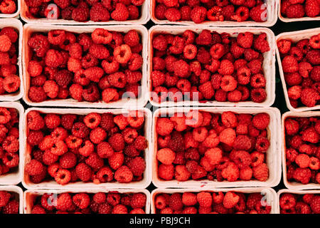 Carni rosse bacche Lamponi al mercato in vassoi, contenitori. Vista dall'alto di bacche mature. Raccolto autunnale. Foto Stock