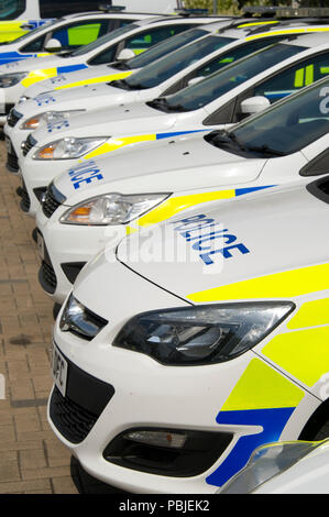 Avon & Somerset Constabulary. PC Andy Bird Patchway dalla stazione di polizia,Bristol,utilizzando il sistema informatico nella sua auto di pattuglia nella zona Patchway. Foto Stock