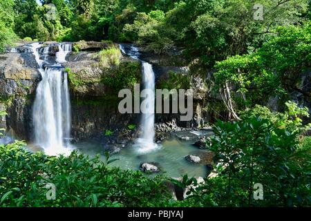 Tchupala Falls, Wooroonooran National Park, altopiano di Atherton, QLD, Australia Foto Stock