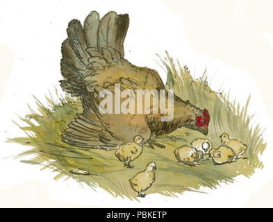 752 gallina e pulcini di disegno Foto Stock