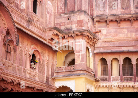 Guida indiana che indossa un turbante di guardare attraverso una finestra al Forte Mehrangarh, Jodhpur, India Foto Stock