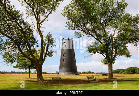 Il mulino di Nero, famoso punto di riferimento, fiancheggiata da stress e il pascolo di bestiame su un luminoso e soleggiato, mattinata estiva, Beverley, Yorkshire Foto Stock