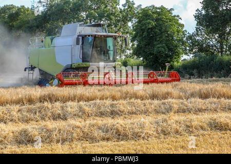 RH 45 gradi tra aspo e ingranaggi di taglio sollevato come macchina mietitrebbiatrice di un angolo in un campo di orzo Foto Stock