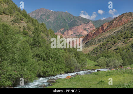 Bellissima valle fluviale sulle alture di Alay percorso, Alay, Kirghizistan Foto Stock