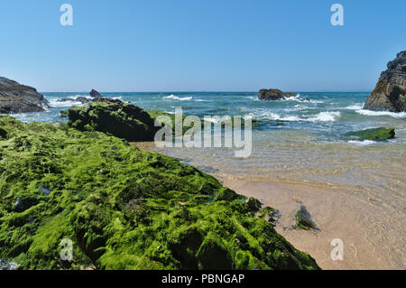 Spiaggia selvaggio scenario in Porto Covo. Portogallo Foto Stock