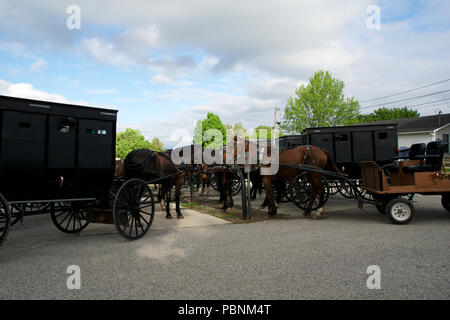 MIDDLEBURY, Indiana, Stati Uniti - Maggio 22nd, 2018: vista degli Amish carrello lungo la città, noto per la vita semplice con un tocco di natura contacy, pianura, abito e riluttanza ad adottare le comodità della tecnologia moderna Foto Stock