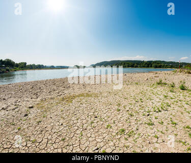 Asciutti riverbed con pietre e sedimenti del fiume Reno e a basso livello di acqua tra inguine, causata da una prolungata siccità, NRW, Germania, Europa Foto Stock