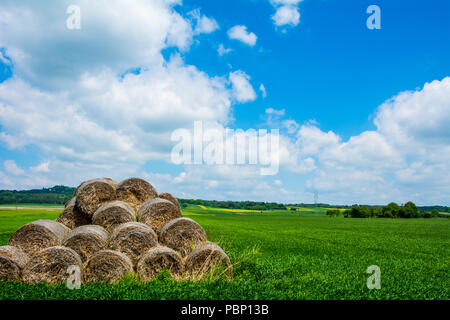 Un cerchio di vecchi twisted fieno nel campo di giovani succosa di frumento Foto Stock