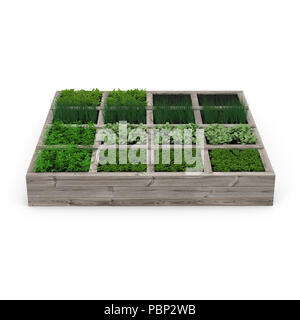 Scatola di legno con un giovane giardino su bianco. 3D illustrazione Foto Stock