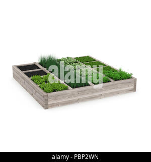 Scatola di legno con un giovane giardino su bianco. 3D illustrazione Foto Stock