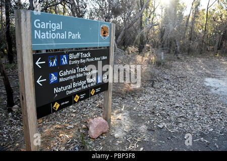 Sydney, Australia - Lug 13, 2018. Piste a piedi in Garigal Parco Nazionale. Bushwalking e ricreazione in Garigal National Park (Sydney, NSW, Australia Foto Stock