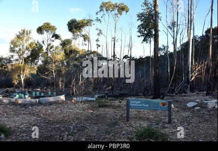 Sydney, Australia - Lug 13, 2018. Garigal Parco Nazionale di segno. Bushwalking e ricreazione in Garigal National Park (Sydney, NSW, Australia) Foto Stock