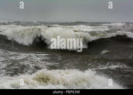 Di onde alte e il mare in tempesta off Berwick beach, Northumberland Foto Stock