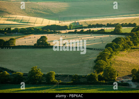 Serata estiva sulla South Downs vicino a Brighton West Sussex, in Inghilterra. Foto Stock