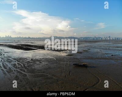 Pak mudflat nai in hong kong Foto Stock