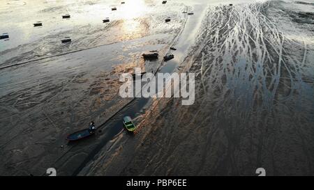 Pak mudflat nai in hong kong Foto Stock