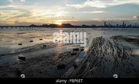 Pak mudflat nai in hong kong Foto Stock