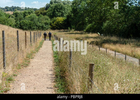 Rutland acqua Oakham 28 Luglio 2018: misto meteo condistion per il Birdwatching nella Riserva naturale blue sky riflessioni ai danni del vento per piattaforme di nesting e un mix di uccelli. Clifford Norton Alamy Live News. Foto Stock