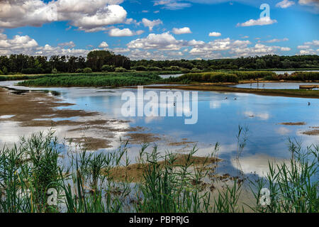 Rutland acqua Oakham 28 Luglio 2018: misto meteo condistion per il Birdwatching nella Riserva naturale blue sky riflessioni ai danni del vento per piattaforme di nesting e un mix di uccelli. Clifford Norton Alamy Live News. Foto Stock