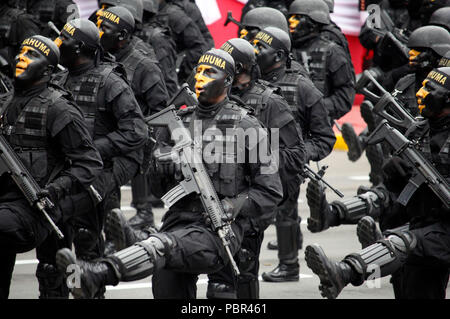 Lima, Perù. 29 Luglio, 2018. I soldati di partecipare in un corteo per commemorare il 197th anniversario del Perù l'indipendenza, a Lima, in Perù, il 29 luglio 2018. Credito: Luis Camacho/Xinhua/Alamy Live News Foto Stock