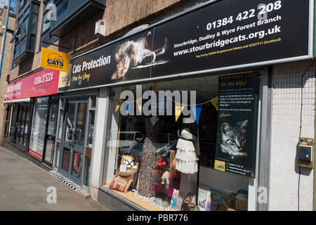 Shop fronti, gatti Protection League, a Stourbridge centro città. West Midlands. Regno Unito Foto Stock