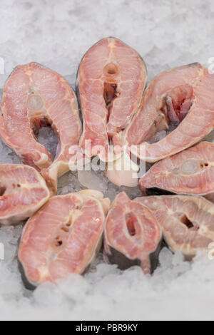 Bistecche di pesce di mare su ghiaccio. Dentice bianco bistecca su ghiaccio. Foto Stock