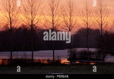 AJAXNETPHOTO. VAUX SUR SOMME, Francia. - Rive boscose del fiume somme al tramonto. Foto:JONATHAN EASTLAND/AJAX REF:D1X0601 3183 Foto Stock