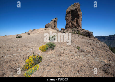 Roque Nublo, cult rock dell'antica canarini, Gran Canaria Isole Canarie Spagna Foto Stock