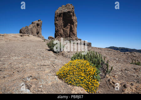 Roque Nublo, cult rock dell'antica canarini, Gran Canaria Isole Canarie Spagna Foto Stock