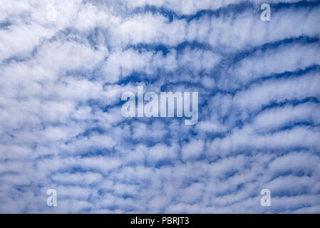 Nuvole, Altocumulus stratiformis undulatus perlucidus, Baviera, Germania Foto Stock