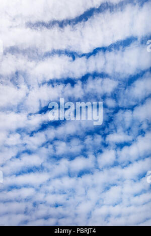 Nuvole, Altocumulus stratiformis undulatus perlucidus, Baviera, Germania Foto Stock