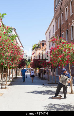 Busker di suonare la fisarmonica in Rio Terra Foscarini Dorsoduro, Venezia, Veneto, Italia in un viale fiancheggiato con red oleandro fiori in primavera. Foto Stock