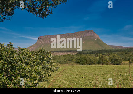 L imponente montagna della tavola ben Bulben in Irlanda nel bel tempo con prato in primo piano Foto Stock