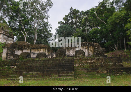 Maya della più grande complesso cerimoniale. La città di Tikal, mondo perduto, Guatemala Foto Stock