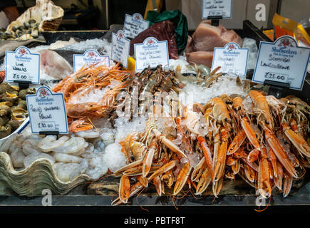 La selezione di piatti a base di frutti di mare: Live conchiglia, gamberi Vannamei, Madagascan gamberoni, Scottish Scampi, gamberi sbucciato, lombo di tonno, in vendita presso Shellseekers Foto Stock