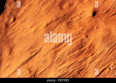 Palm Valley, Finke Gorge National Park nel Territorio del Nord, l'Australia Foto Stock