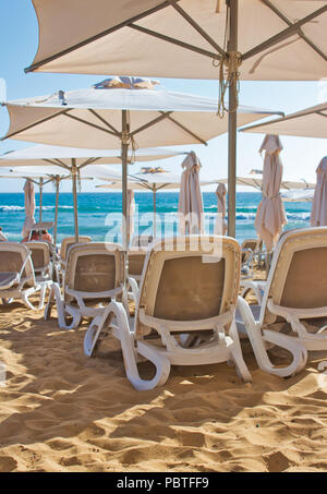 Righe di plastica sedie reclinabili / lounge poltrone reclinabili / lettini su una spiaggia di sabbia fine e dorata in estate con ombra ombrelloni Foto Stock